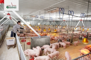 IFC invests $43 million in GREENFEED Vietnam through a seven-year bond