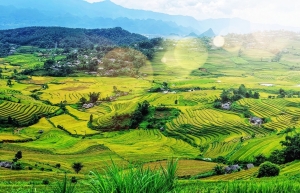 VNDIRECT predicts Vietnam's GDP growth of 3.9 per cent in 2021