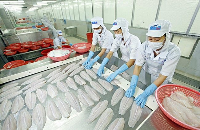 “King of pangasius” suffers heavy loss
