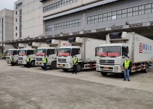 vietnam coronavirus infection counts rises to 10 with three cured