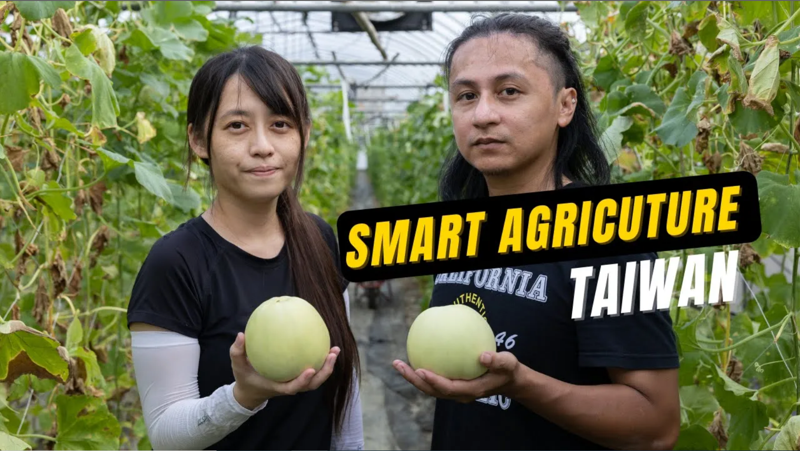 Taiwan harnesses smart agriculture to promote digital equality for farmers