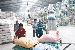 Australia’s SunRice Group acquires rice processing factory in Vietnam