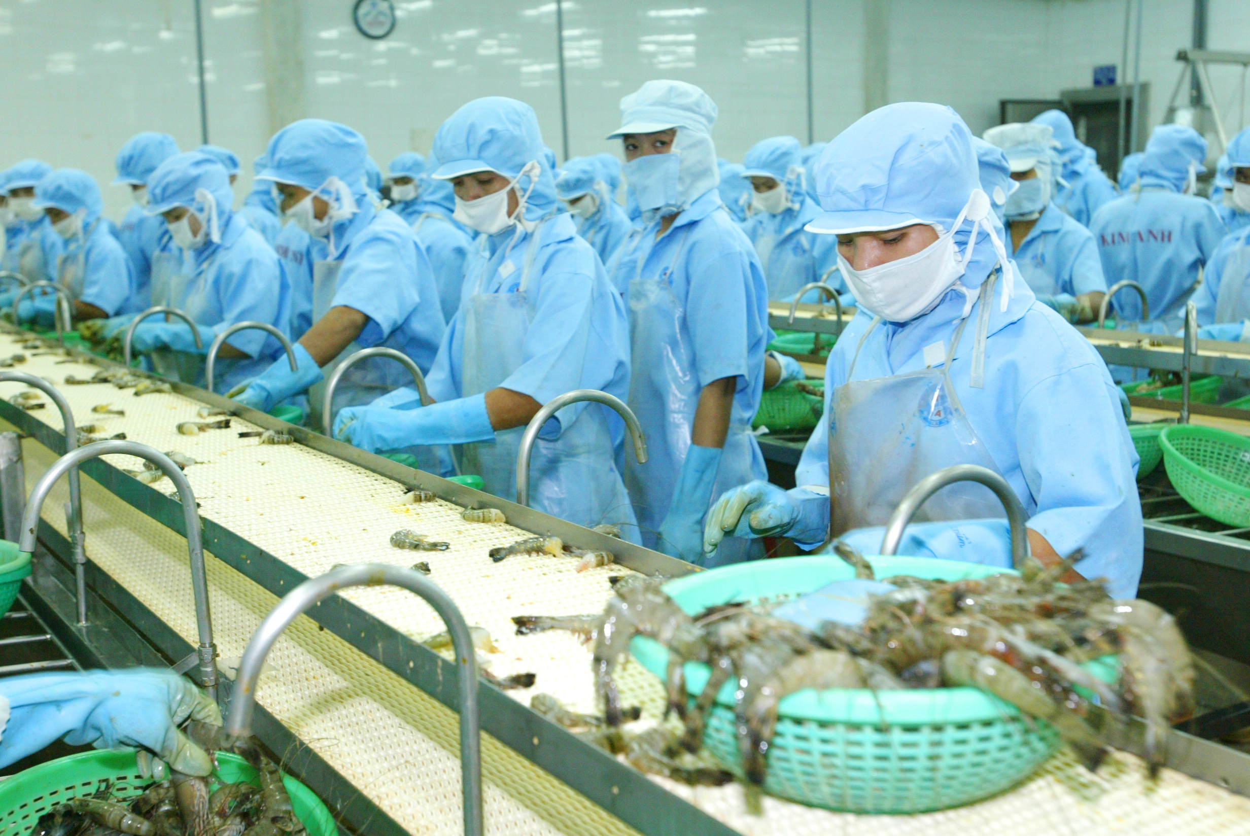 Vietnam's seafood exports approach $5.8 billion in first half of 2026