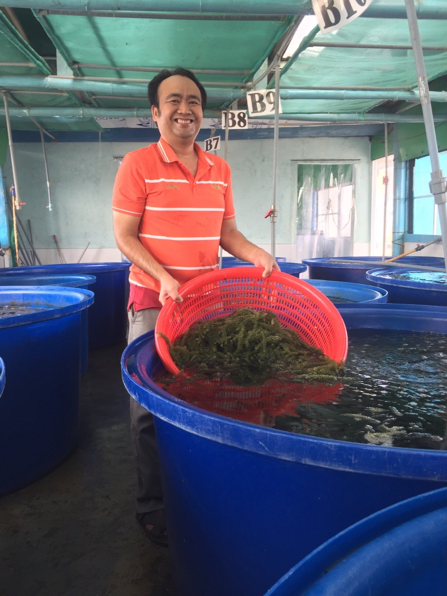 behind longevity sea grapes from petroleum to a pathway driven pioneer in aquaculture