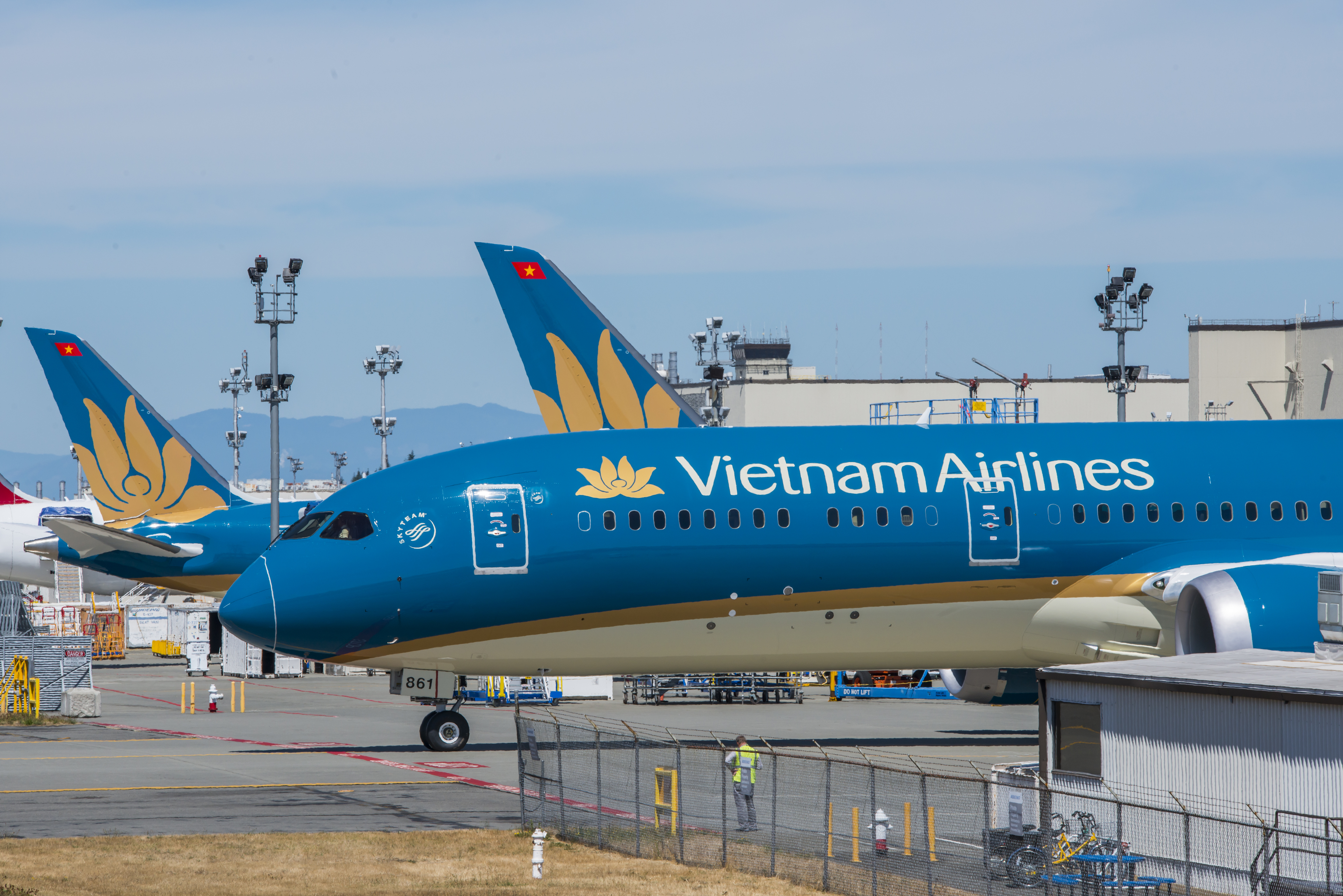 vietnam airlines flourishes with ana holdings partnership