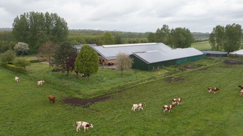 Royal FrieslandCampina’s sustainability provides nutrition in a sustainable way