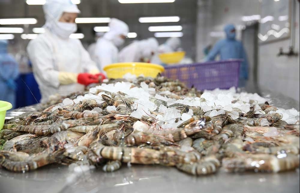 us removes anti dumping tax on minh phu shrimp
