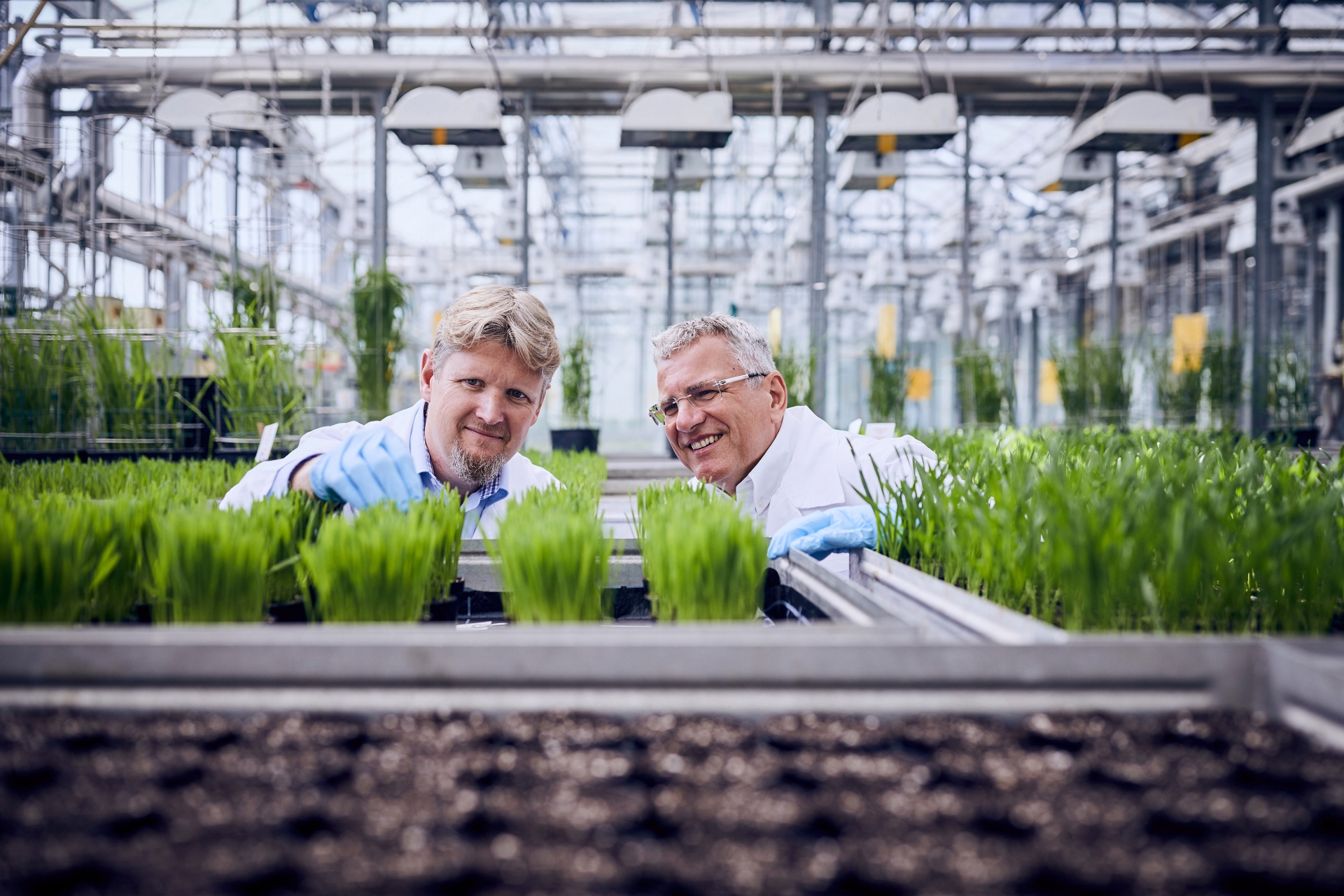 basfs focused approach boosts agricultural innovation by 25 per cent