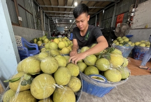 Leverage for Vietnam's agricultural products to take off