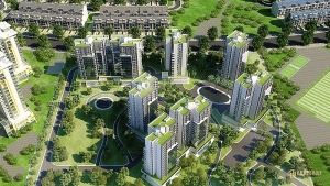 Sonadezi Chau Duc exceeds annual profit target by 7 per cent within first half