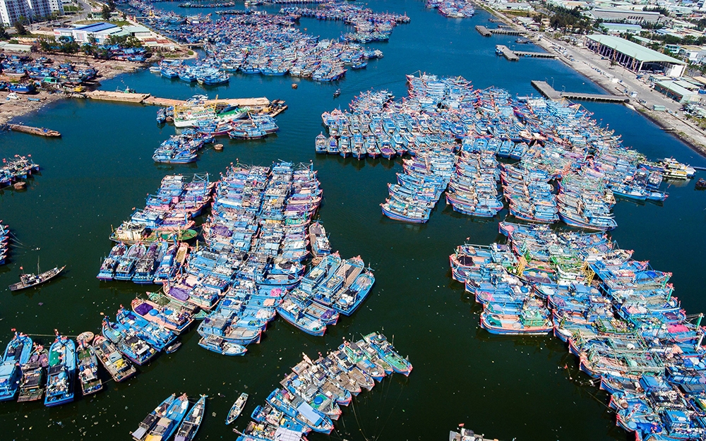 Danang closes largest fishing port of Central Vietnam