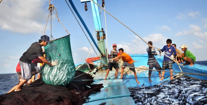 Vietnam actively combats IUU fishing to regain EU market