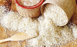 Vietnam first 126 tonnes rice to Europe under EVFTA   