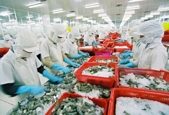 Seafood export showing falling sign in August