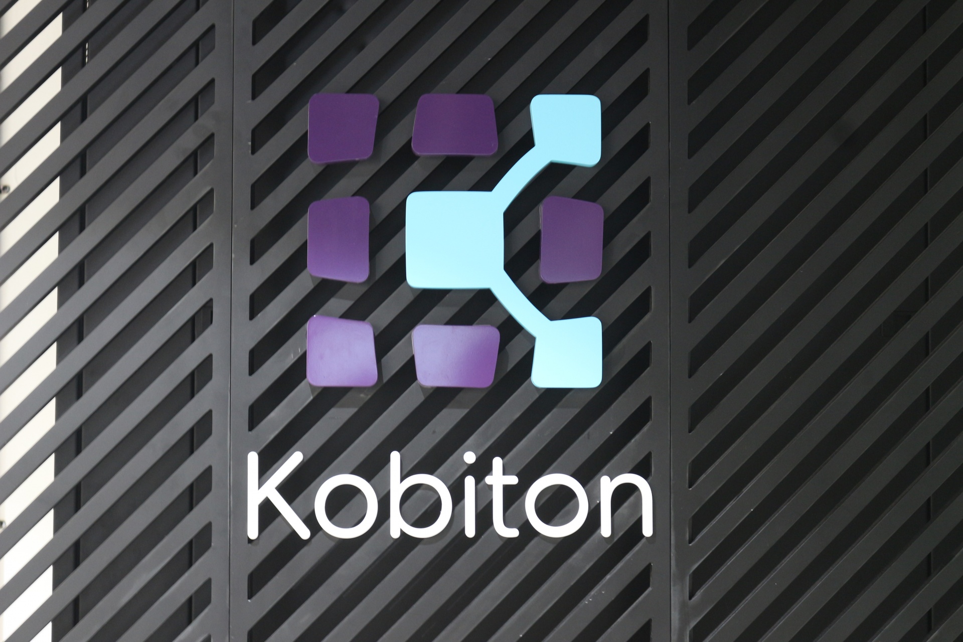 Vietnam's mobile testing platform Kobiton raises $12 million from US funds