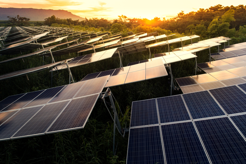 Thai company plans to acquire three solar farms in Vietnam