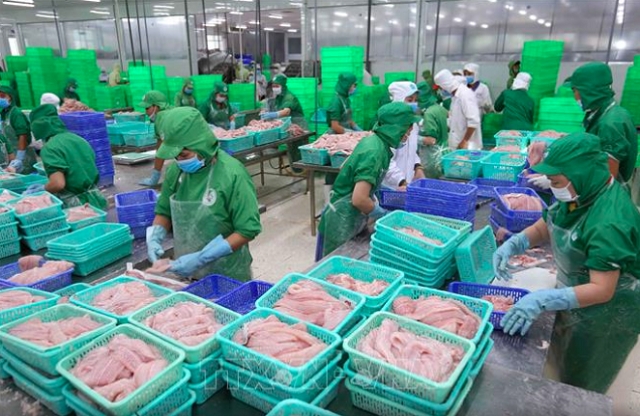 seafood export turnover expected to surpass 10 billion