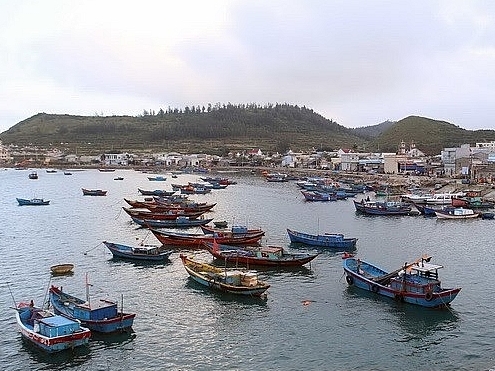 Vietnamese boats’ overseas illegal fishing down significantly