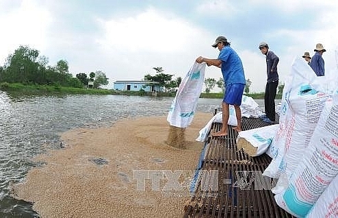 Tien Giang develops freshwater aquaculture
