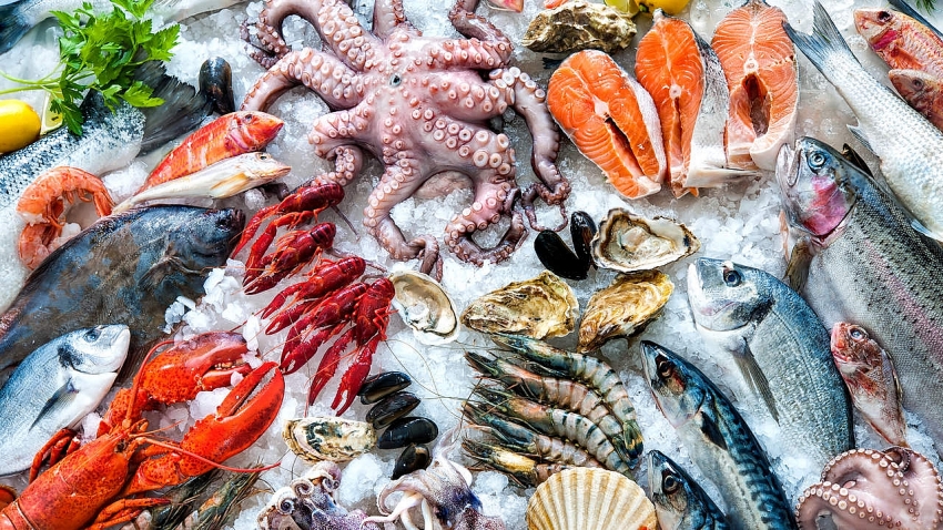 seafood companies under pressure from mounting shipping costs