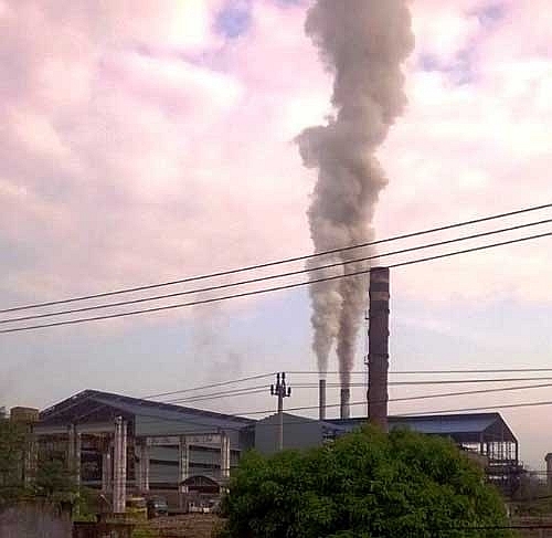 nivls bisuco factory sealed due to environmental pollution