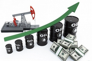 Local oil stocks rebound as OPEC cuts output