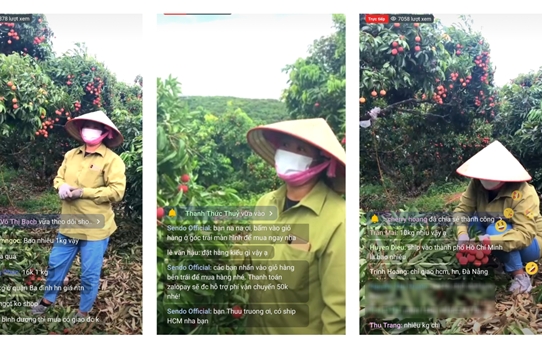 Live streaming in Vietnam growing more popular for agricultural business